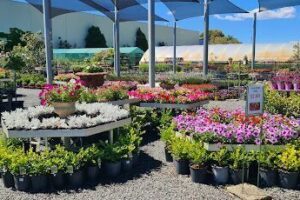 Bayside Garden Centre