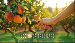 beginner tree care