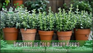 benefits of cold-hardy herbs