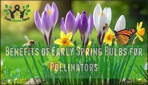 benefits of early spring bulbs for pollinators