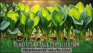 benefits of fall fertilization