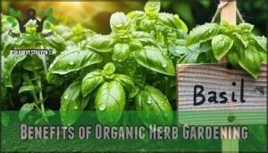 benefits of organic herb gardening