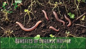 benefits of organic matter