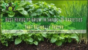 best herbs to grow in shade