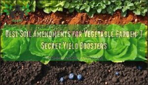 best soil amendments for vegetable garden