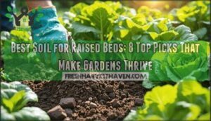 best soil for raised beds