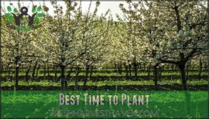 best time to plant