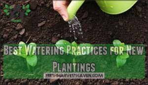 best watering practices for new plantings