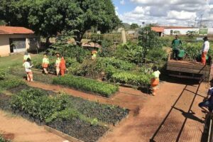 BioReflorestar Viveiro Ambiental