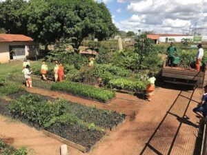 BioReflorestar Viveiro Ambiental