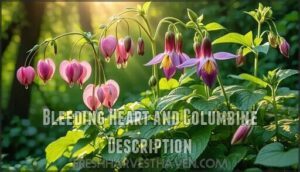 bleeding heart and columbine description