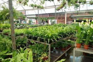 Botânica Garden Center