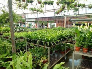 Botânica Garden Center