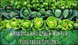 brassica and other winter vegetable options