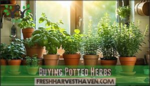 buying potted herbs