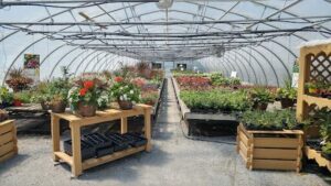 Canada Green Nursery & Garden Center