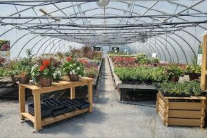 Canada Green Nursery & Garden Center