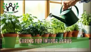 caring for indoor herbs