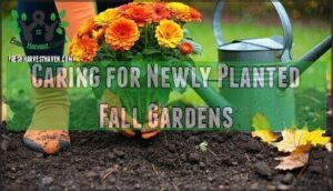 caring for newly planted fall gardens