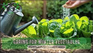 caring for winter vegetables