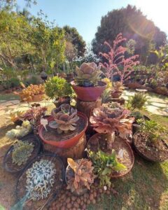 Casa Verde Garden