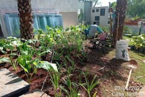 Casagarden Projetos e Paisagismo