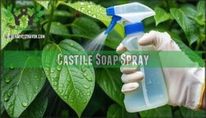 castile soap spray