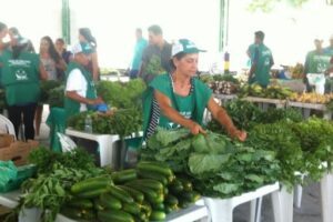 Cesta Verde Dona Walda/Legumes, Verduras e Frutas Orgânicas