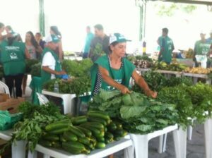 Cesta Verde Dona Walda/Legumes, Verduras e Frutas Orgânicas