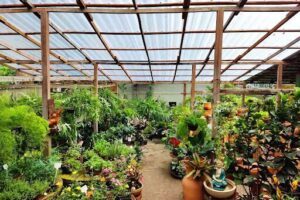 Chácara Belo Jardim