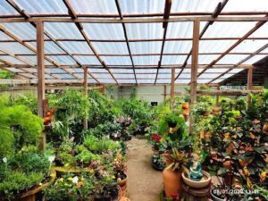 Chácara Belo Jardim
