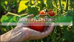 checking for maturity