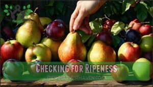 checking for ripeness