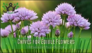chives for edible flowers