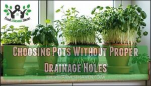 choosing pots without proper drainage holes