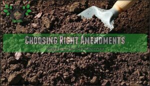choosing right amendments