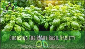 choosing the right basil variety