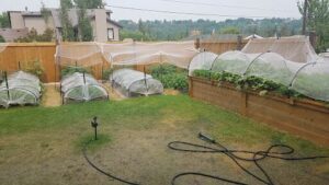 Cleanit Greenit Composting System Inc.