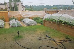 Cleanit Greenit Composting System Inc.