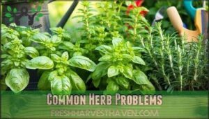 common herb problems