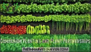 companion planting and plant partnerships