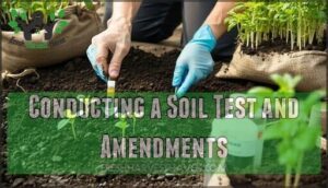 conducting a soil test and amendments
