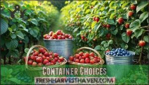 container choices