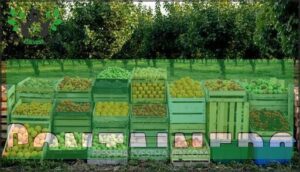 containers