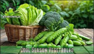 cool season vegetables