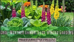 cool-weather annuals for winter gardens