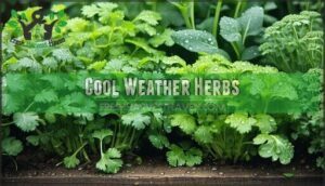 cool weather herbs
