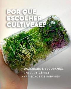 Cultiveae microverdes, horta em Salvador