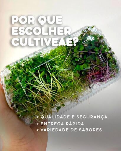 Cultiveae microverdes, horta em Salvador