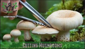 cutting mushrooms